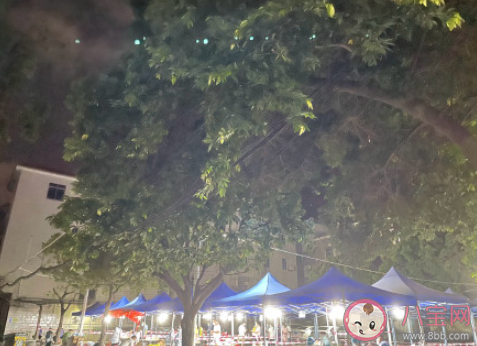 东莞4地高速路口只进不出是怎么回事 居民非必要不外出是真的吗