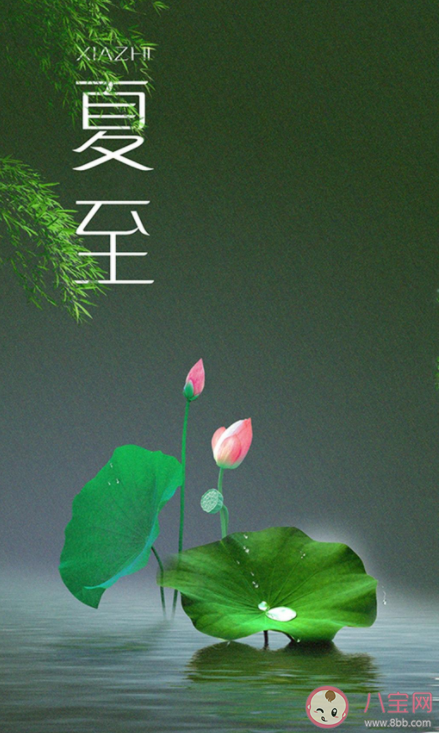 今日夏至早安朋友圈文案句子 夏至早安问候语一句话图片
