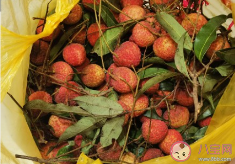 专家建议成人每日吃荔枝不超十颗 荔枝吃多了会怎样 专家建议成人每日吃荔枝不超十颗 荔枝吃多了会怎样