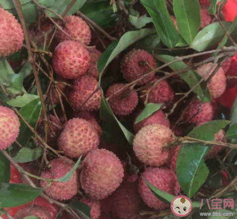 专家建议成人每日吃荔枝不超十颗 荔枝吃多了会怎样 专家建议成人每日吃荔枝不超十颗 荔枝吃多了会怎样