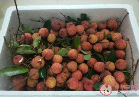 专家建议成人每日吃荔枝不超十颗 荔枝吃多了会怎样 专家建议成人每日吃荔枝不超十颗 荔枝吃多了会怎样