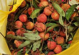 专家建议成人每日吃荔枝不超十颗 荔枝吃多了会怎样