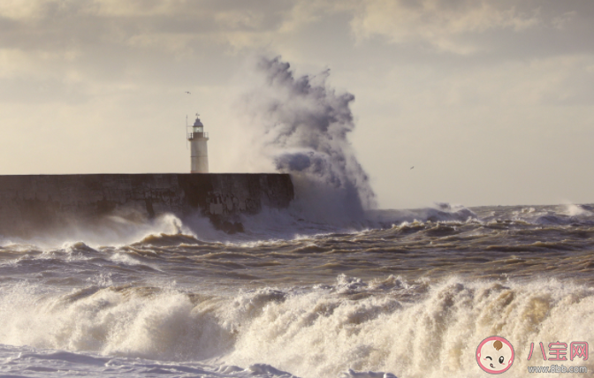 天气预报里提到台风和飓风主要区别是什么 蚂蚁庄园6月23日答案