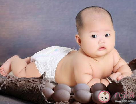 肥胖者也会营养不良吗 蚂蚁庄园6月24日答案