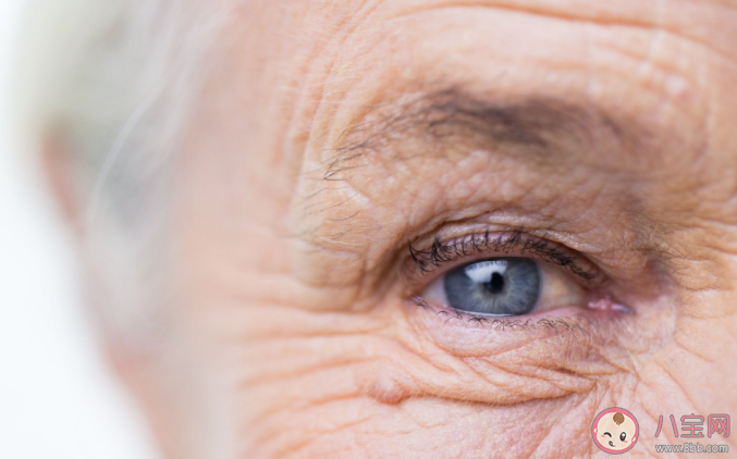 人类寿命上限究竟会是多少岁 有关长寿的20个秘诀