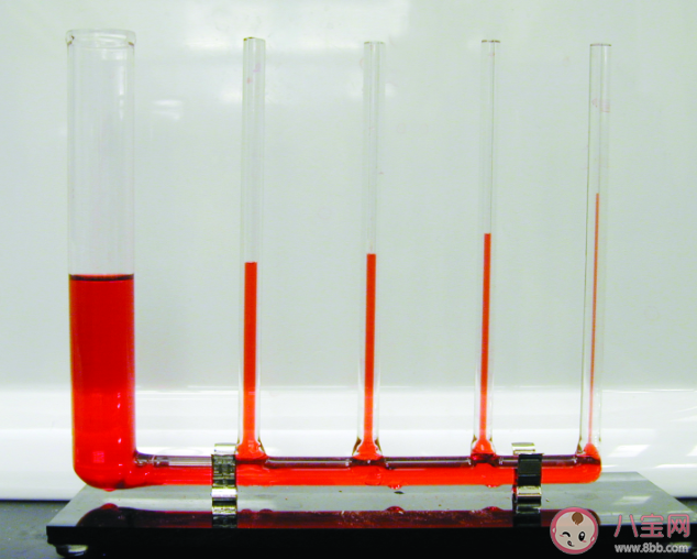 水有可能往高处流吗 蚂蚁在庄园6月25日最新答案
