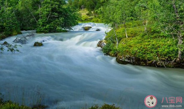 人往高处走水往低处流那水有可能往高处流吗 蚂蚁庄园今日6月25日答案