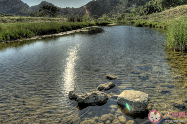 人往高处走水往低处流那水有可能往高处流吗 蚂蚁庄园今日6月25日答案
