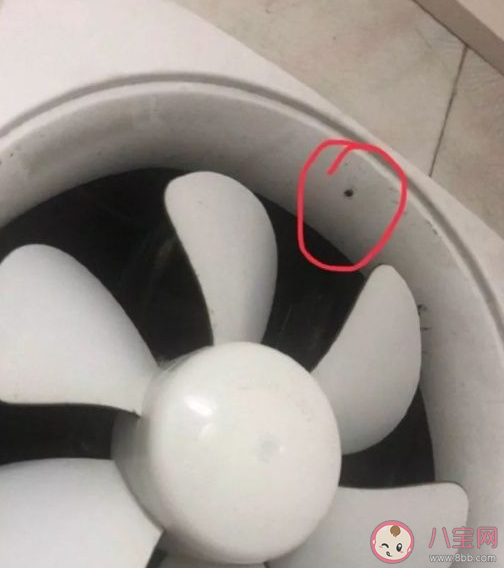 怎样判断宾馆里是否被安装摄像头 哪些物品最容易被伪装成偷拍设备 怎样判断宾馆里是否被安装摄像头 哪些物品最容易被伪装成偷拍设备