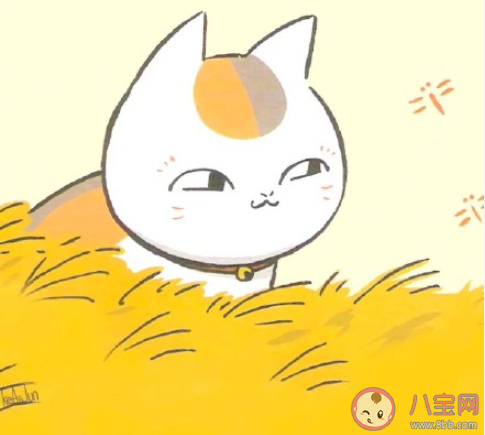 为何近几年文科分数线普遍性过高 文科线比理科高的原因是什么