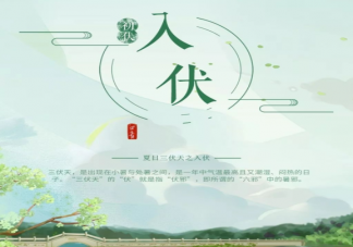 2021入伏时间是几月几号 三伏天做好三防
