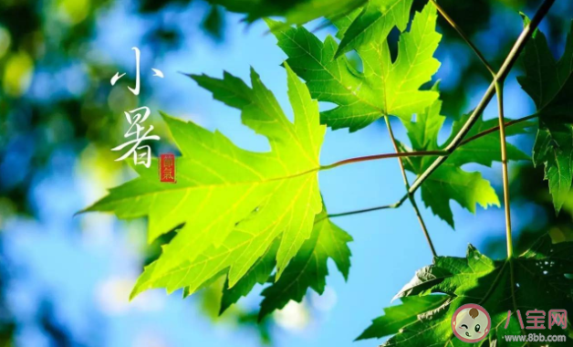 2021小暑节气借势文案示例赏析 小暑借势文案广告词大全
