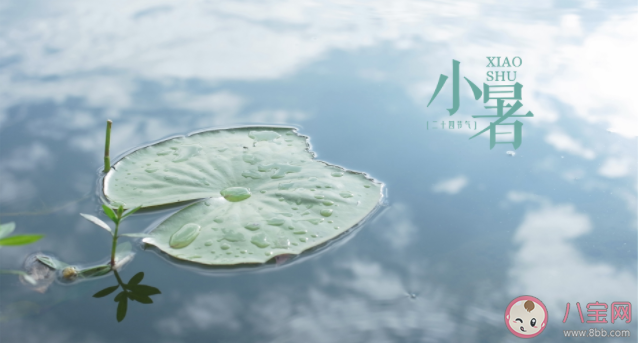 2021小暑节气借势文案示例赏析 小暑借势文案广告词大全