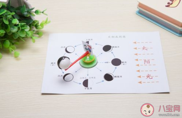 科学启蒙课值得上吗 科学启蒙教育对孩子有多重要