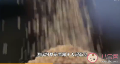 粮价要上涨了吗 全球粮价大涨我们该担心吗