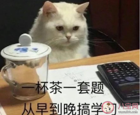 抢购的学霸笔记对实际学习有用吗 学霸的笔记值得抢购吗