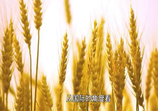 粮价要上涨了吗 全球粮价大涨我们该担心吗