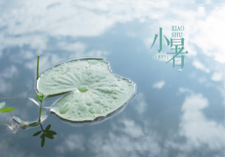 2021小暑节气借势文案示例赏析 小暑借势文案广告词大全