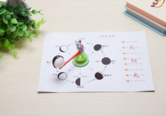 科学启蒙课值得上吗 科学启蒙教育对孩子有多重要