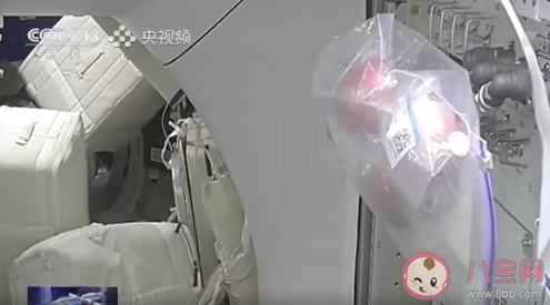 太空水果为什么选苹果 吃苹果都有哪些好处