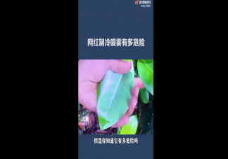 网红清凉神器有多危险 夏季车内温度高怎么降温