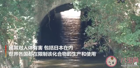 日本21地点河流及地下水有机氟化物超标 水中有机氟化物超标会怎样