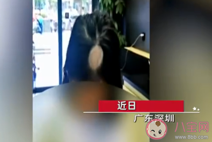 小孩与宠物猫接触后局部头秃 家有小孩养宠物要注意些什么