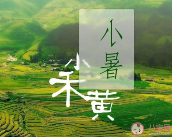 2021小暑节气早安心语图片说说最新 2021小暑节气早安一句话文案说说