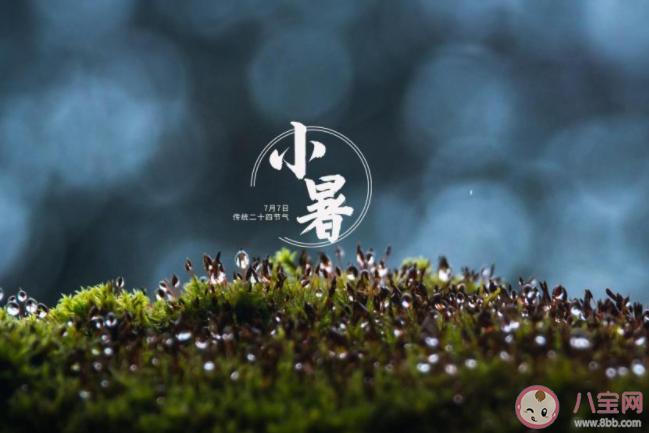 2021小暑节气早安心语图片说说最新 2021小暑节气早安一句话文案说说