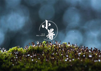 2021小暑节气早安心语图片说说最新 2021小暑节气早安一句话文案说说