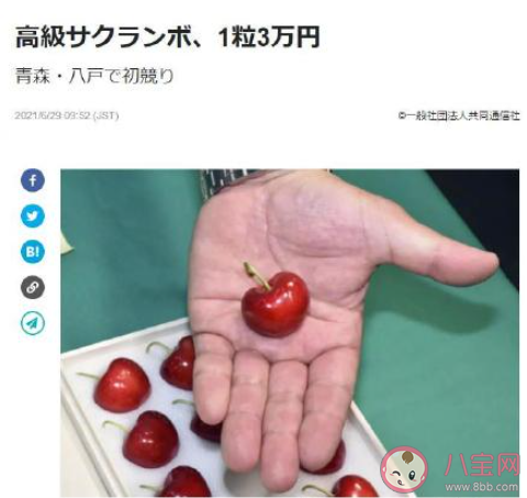 日本青森樱桃一颗3万日元 日本还有哪些天价水果