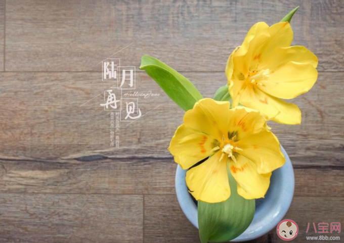 6月最后一天的工作朋友圈说说 6月最后一天上班发圈句子