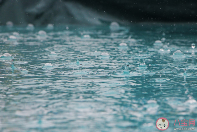 下雨天听见雨声后很容易平静心情是因为什么 蚂蚁庄园7月1日答案解析