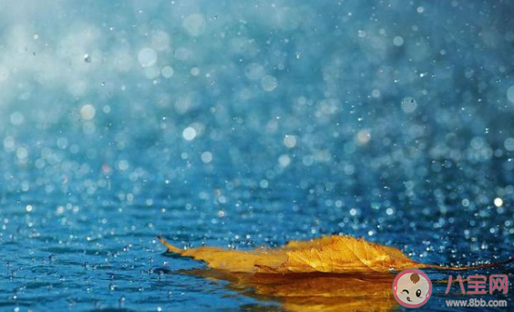 很多人听见雨声后很容易平静心情这是因为 最新蚂蚁庄园7月1日答案