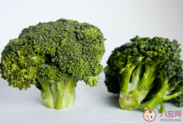 西兰花表面的白霜是什么 西兰花到底有多脏怎么清洗 西兰花表面的白霜是什么 西兰花到底有多脏怎么清洗