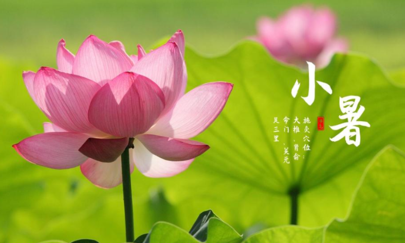 小暑三候是哪三候 小暑节气有什么特点