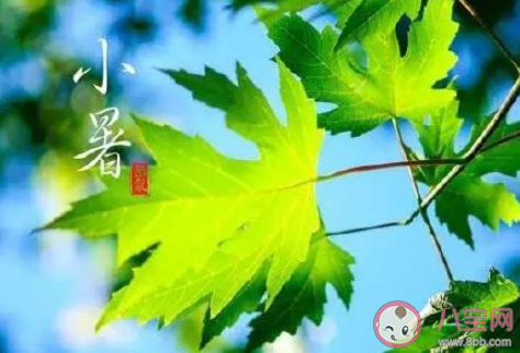 小暑节气你好发朋友圈说说句子 小暑节气问候语朋友圈文案