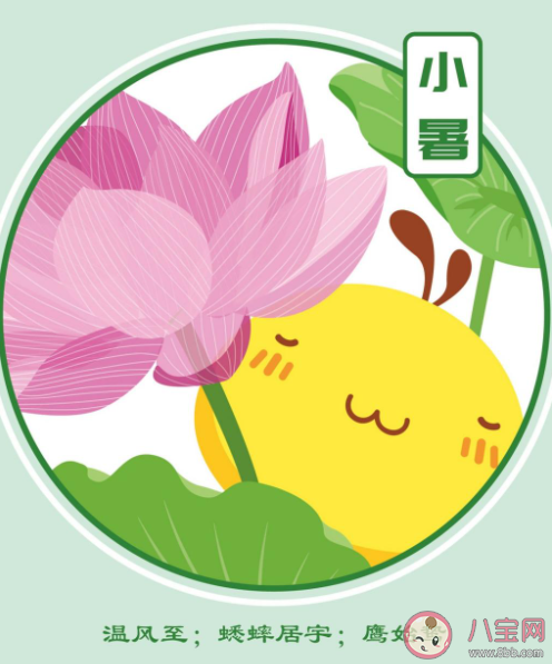 二十四节气小暑到了的问候语说说 24节气小暑优美文案句子