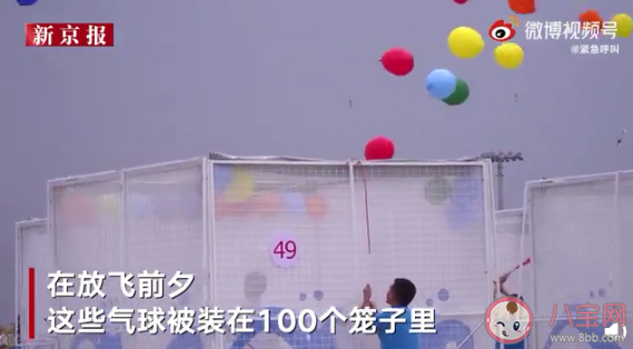 10万只气球放飞背后有什么秘密 什么样的人能成为气球放飞员