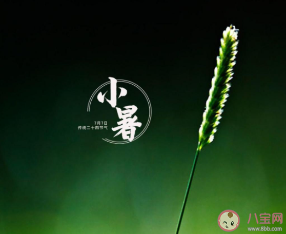2021幼儿园小暑节气活动报道新闻稿 2021幼儿园小暑主题活动报道三篇