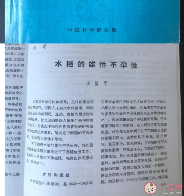 袁隆平论文的原始手稿写了什么 这篇论文主要讲述了什么
