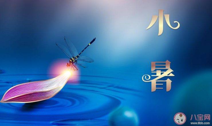 2021今日小暑早安心语问候语说说带图 2021小暑节气早安心语文案说说大全