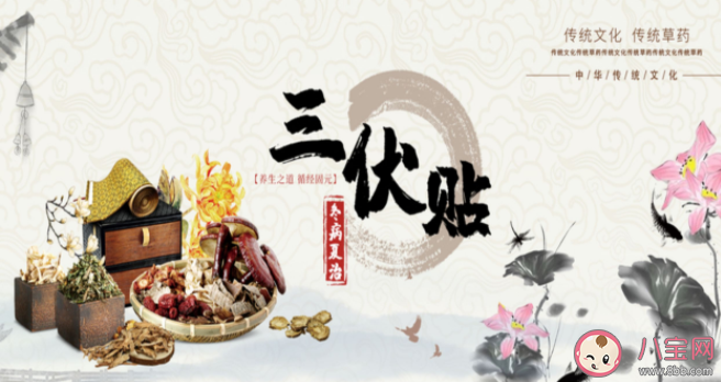 三伏贴为什么要在三伏天贴 三伏贴怎么选取穴位