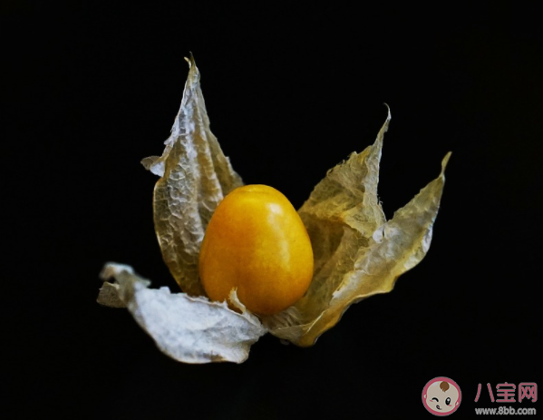 姑娘果绿色的可以吃吗 偏绿的姑娘果能放熟吗