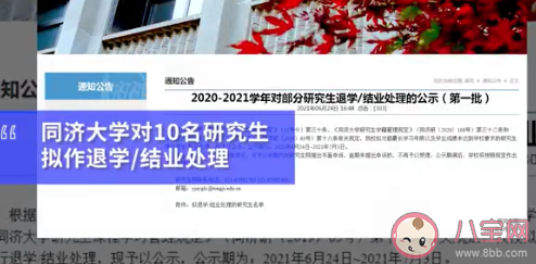 同济大学拟退学10名研究生 为什么研究生会被清退