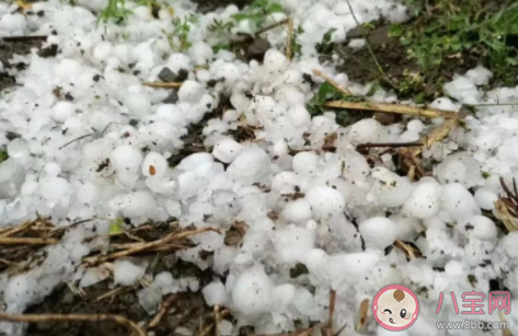 蚂蚁庄园冰雹一般多发于哪个季节 7月10日答案介绍