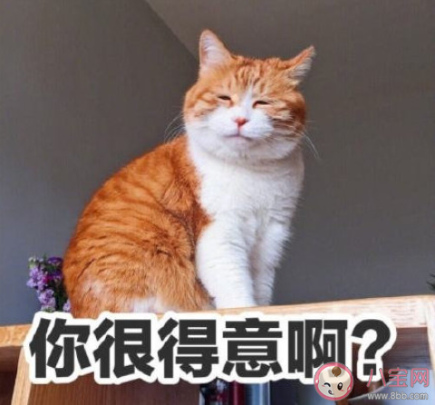 有哪些使人每天进步的好习惯 值得坚持的好习惯盘点