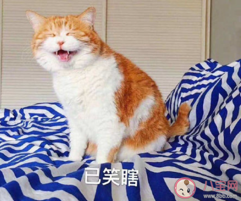 有哪些使人每天进步的好习惯 值得坚持的好习惯盘点