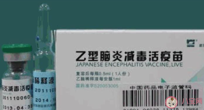 接种乙脑疫苗后不能吃什么 乙脑疫苗接种前后的注意事项有哪些