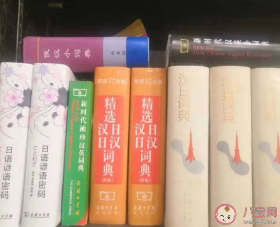 中小学生如何选工具书 小学生需要这么多工具书吗
